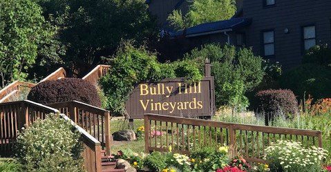 Bully Hill Vinyards 2