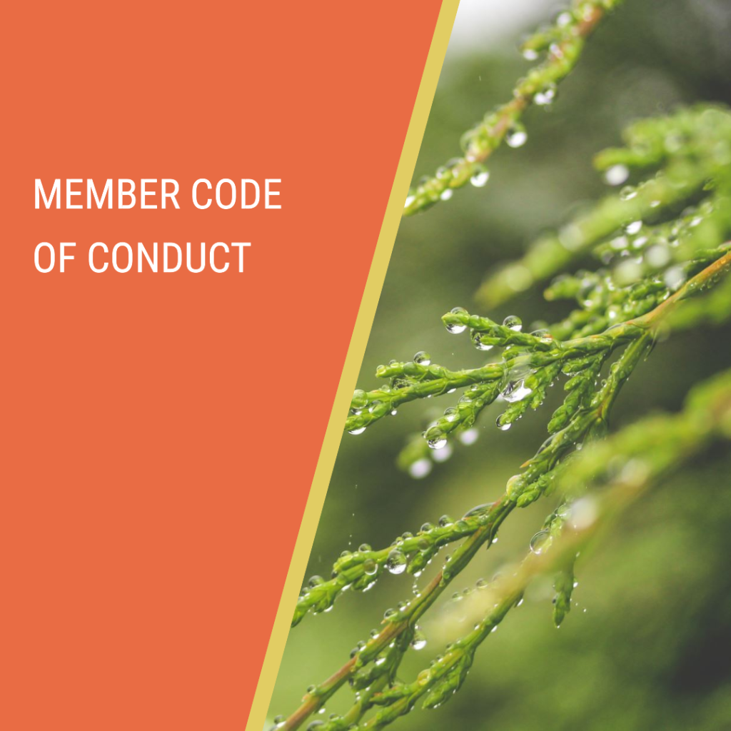 Member code of conduct