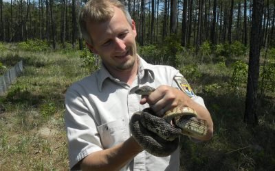 BLM Land in Louisiana: A Complete Guide
