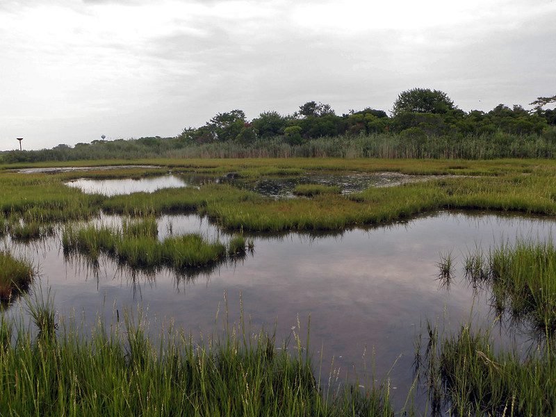 Lido Beach Wildlife Management Area