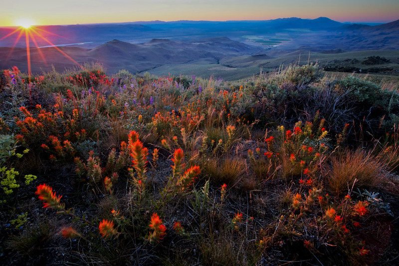 Pine Forest Range Wilderness Area, NV