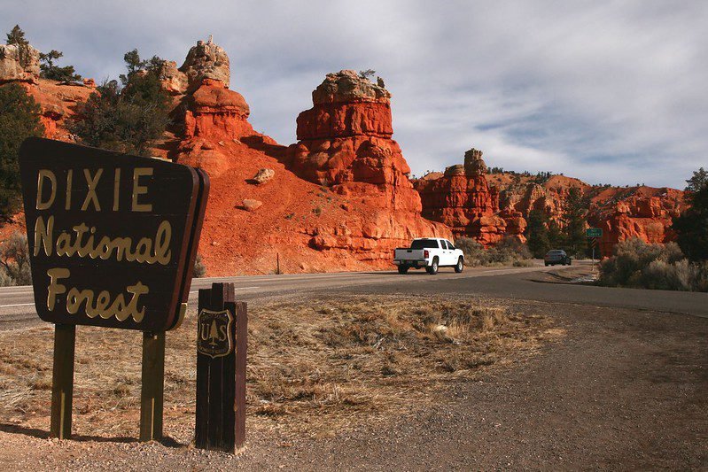 Dixie National Forest