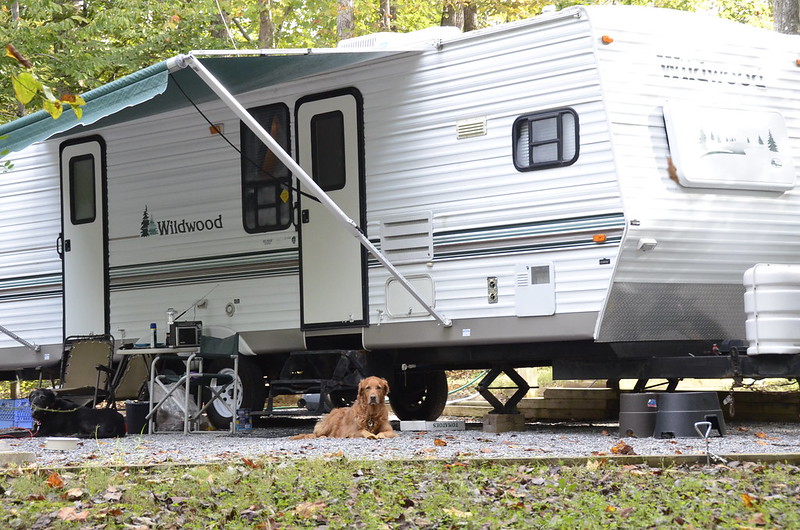 Campground at Smith Mountain Lake State Park