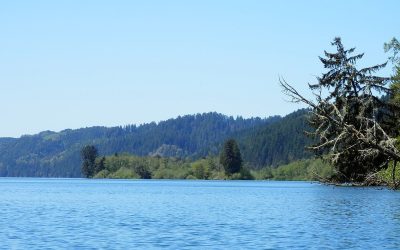 Echo Island: Ultimate RV Camping Destination with Adventure Activities, Natural Wonders, and Vibrant Nightlife