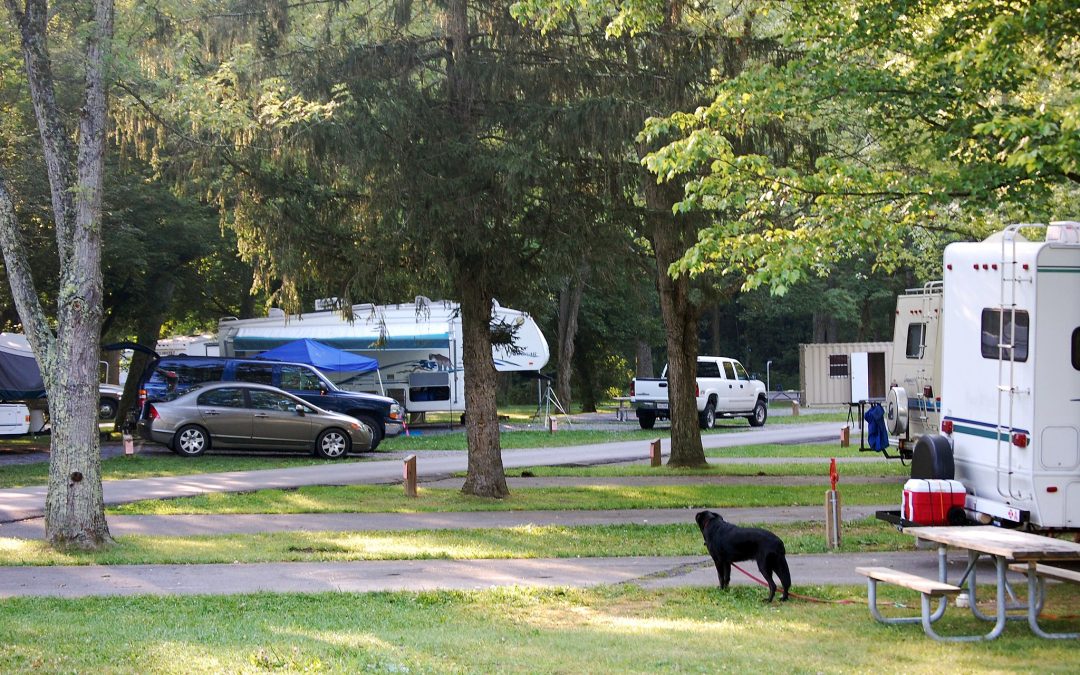 RVing with Pets: Tips, Campgrounds & Resources