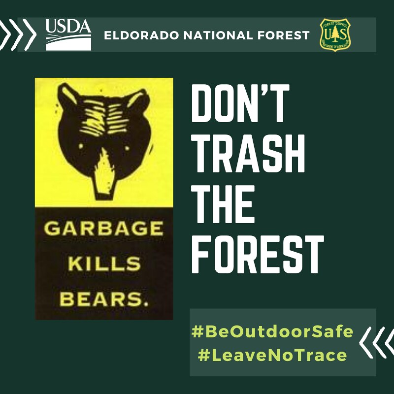 Don't Trash the Forest