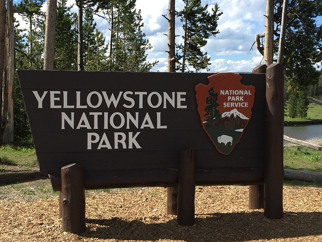 yellowstone national park-